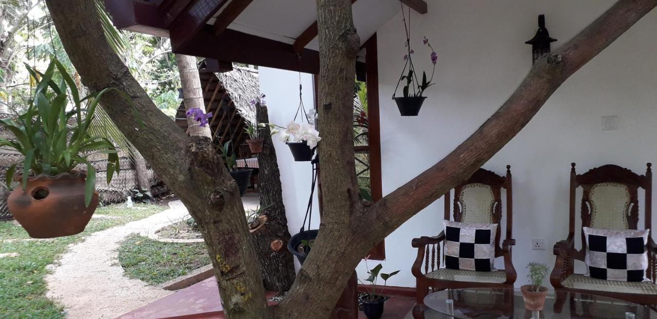 Yaluwa Tourist Rest & Cooking Class Anuradhapura Bagian luar foto