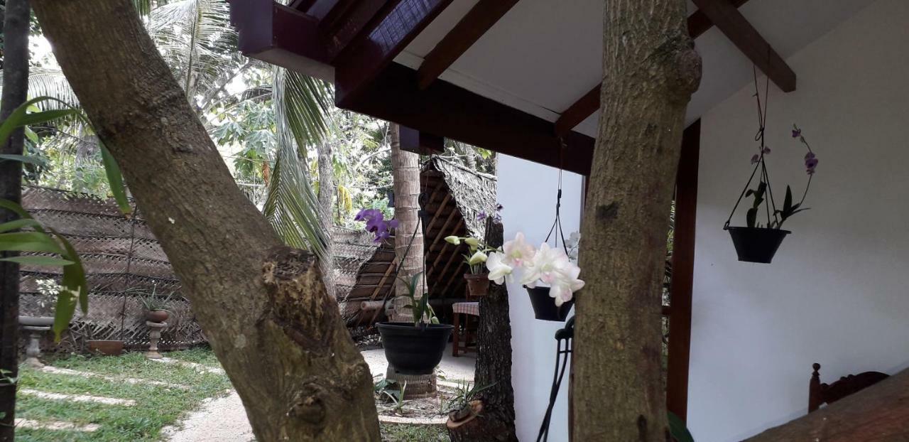 Yaluwa Tourist Rest & Cooking Class Anuradhapura Bagian luar foto