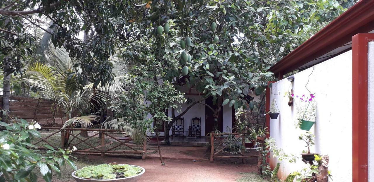 Yaluwa Tourist Rest & Cooking Class Anuradhapura Bagian luar foto